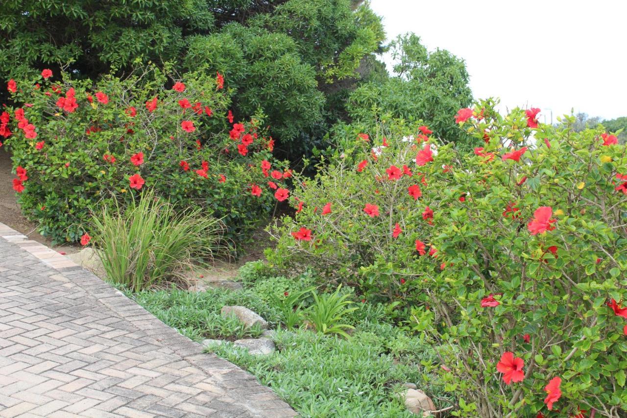 Beach Break B&B Port Alfred Dış mekan fotoğraf